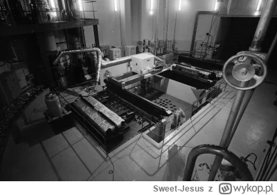 Sweet-Jesus - Widok pomieszczenia reaktora od góry. Widać miejsca na zestawy paliwowe...