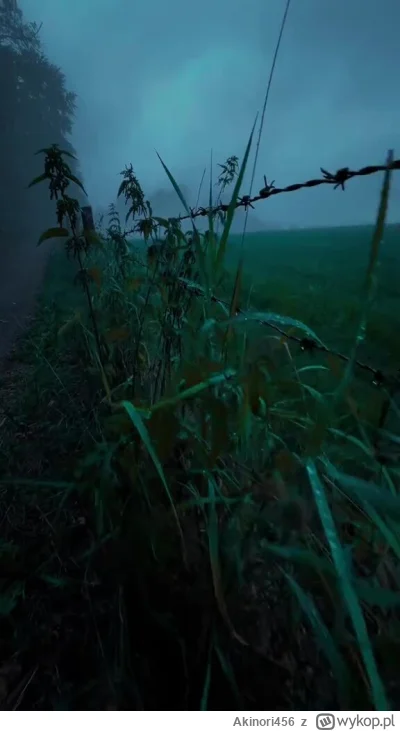 Akinori456 - Zanalazłby się Huop w takim miejscu...
Cisza... Spokój... Zero ludzi... ...