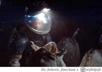 ZloBobremZwyciezaj - @wfyokyga