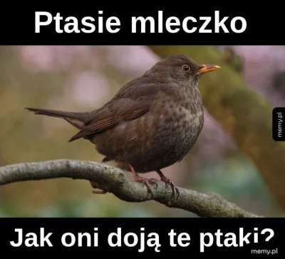 Zielonykwiryta - ( ͡° ͜ʖ ͡°)

#heheszki #humorobrazkowy #polska #handelzagraniczny