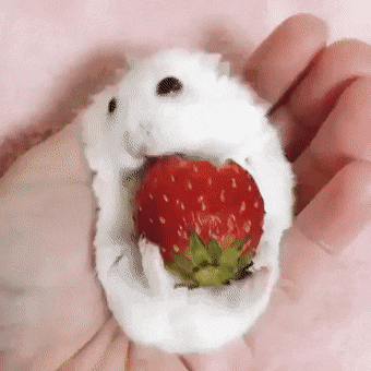 wfyokyga - Amciowanie