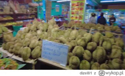 dizel81 - Kolejne stulejarskie wynurzenia Alvaro na widok ładnej dziewczyny:)
#raport...