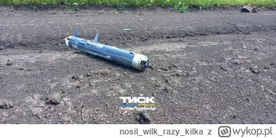 nosilwilkrazy_kilka - #ukraina