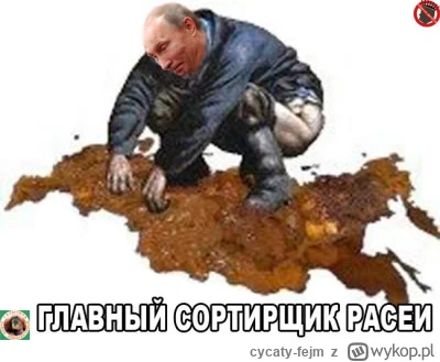cycaty-fejm - Brawo Putin!!! On ze swą bandą w 20 lat zrobił z rosji śmietnik a z jej...