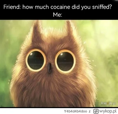 Y4b4d4b4doo - #narkotykizawszespoko #heheszki #gownowpis