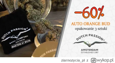ziarnozycia_pl - PROMOCJA! Auto Orange Bud od Dutch Passion - opakowanie 3 sztuki - 6...