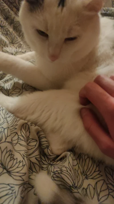 essla - Od obraził się już i przyszedł do mnie, miód na moje serce.