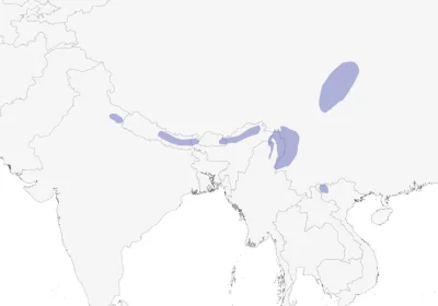 Lifelike - Zasięg występowania:
