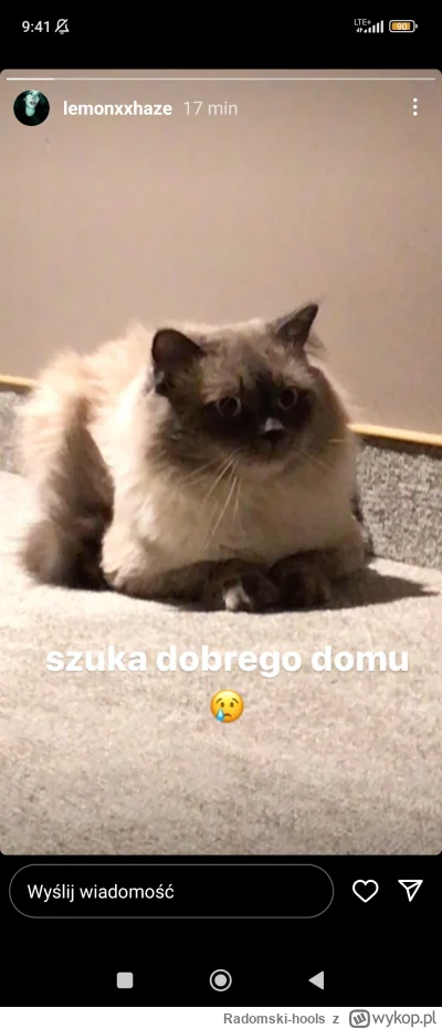 Radomski-hools - #tomaszchic xddd kota nawet oddają to jest Julek chyba?