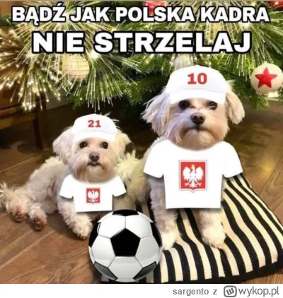 sargento - #heheszki #fajerwerki