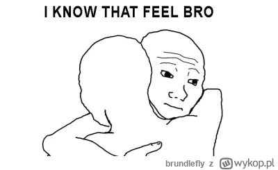 brundlefly - @Kindybal_xD: Współczuję (╯︵╰,)
