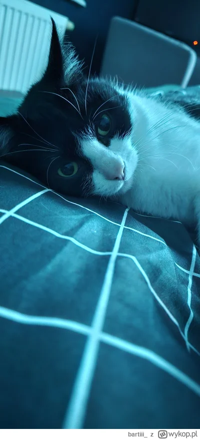 bartiii_ - I tak sobie leżymy z moim kumplem, a wy co wykopki, dalej sami w czterech ...