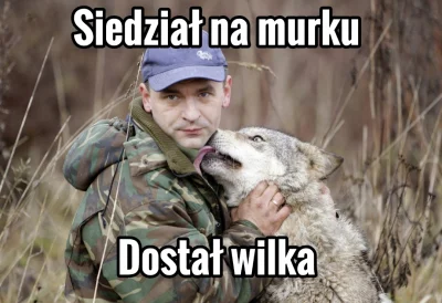 pogop - #pogopsuszy #heheszki #humorobrazkowy #suchar #wilk #wilki