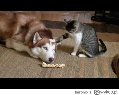 baronio - >To dlatego koty wkrwiają ludzi?

@suhl: koty wk*rwiają ludzi z tego samego...