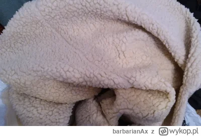 barbarianAx - #sprzatanie #pranie Jak się nazywa taka kołdra i czy można to prać?