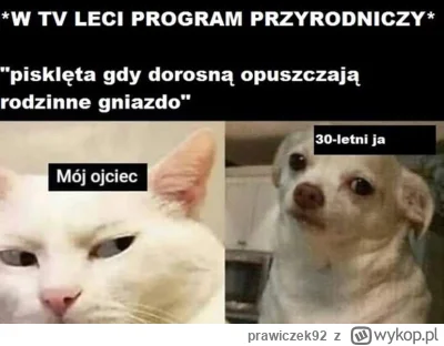 prawiczek92 - #przegryw #memy  hehe #przegrywpo30tce