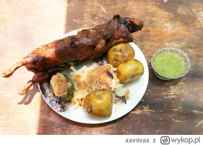 xaviivax - Zawsze jest sposób, żeby świnka morska nie czuła się samotna. Można wziąć ...