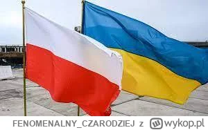 FENOMENALNY_CZARODZIEJ - #ukraina #polska #stosunkimiedzynarodowe #ankieta #oligarcho...