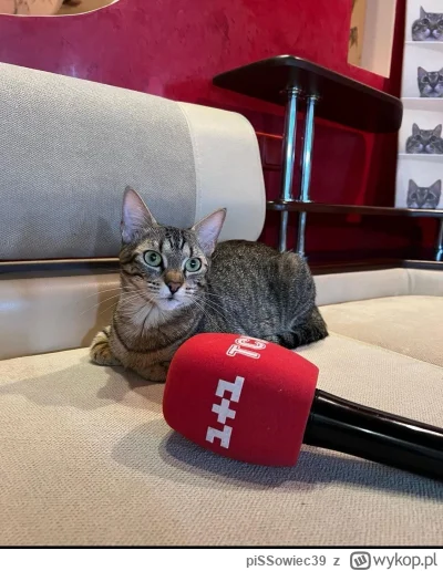 piSSowiec39 - @vateras131: Stefania również miała co nieco do powiedzenia.