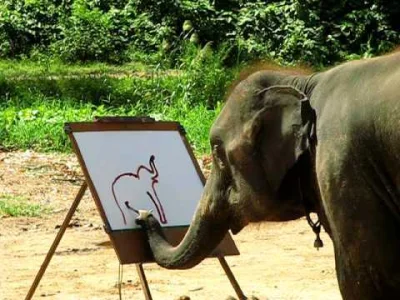 aa-aa - a takie coś widzieli?( ͡° ͜ʖ ͡°)
#zwierzeta #youtube #filmiki #slonie #slon #...