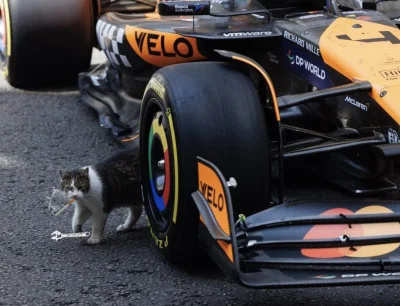 logika_logistyka - Paaaanie poszła uszczelka pod głowicą, to będzie kosztowało sporo ...