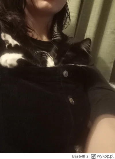 BastetII - #pokazkota #koty 

Sukienka i nosidełko w 1