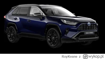 RoyKeane - @tojapaweu: