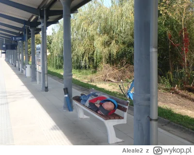 Aleale2 - #zul #pkp #polska tak to wygląda