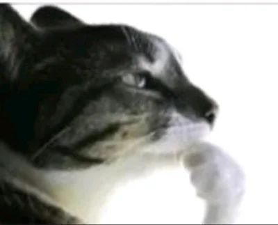 frugASS - Zdarza wam się spać z talerzami?