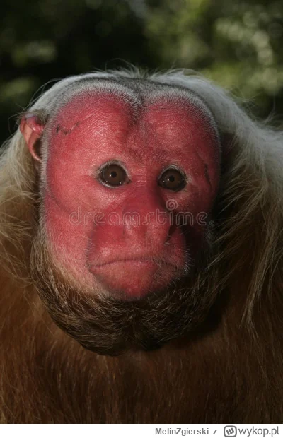 MelinZgierski - @MelinZgierski: