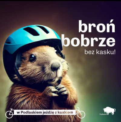 farbowanylisek - Kampania województwa #podlaskie z okazji dnia roweru (｡◕‿‿◕｡) #bobr ...