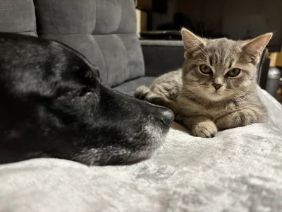 wybryk_natury - #misiafanclub