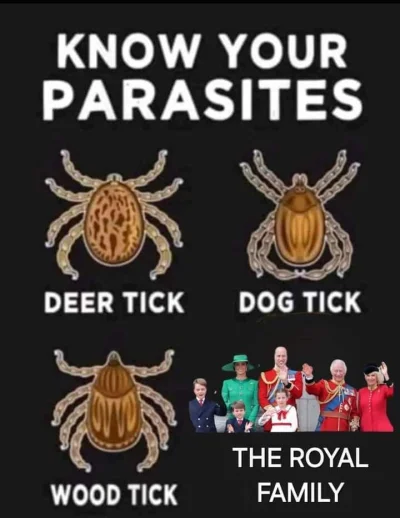 xionc0586 - #heheszki #wielkabrytania #uk