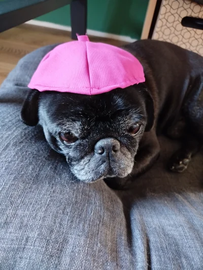 WielkiWladcaWypoku - #konklawe 
Wyciekło zdjęcie nowego papieża ( ͡º ͜ʖ͡º)