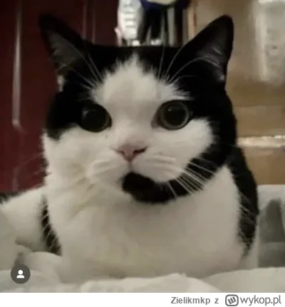 Z.....p - Moderacja wykopu! Jak mogę pomóc?