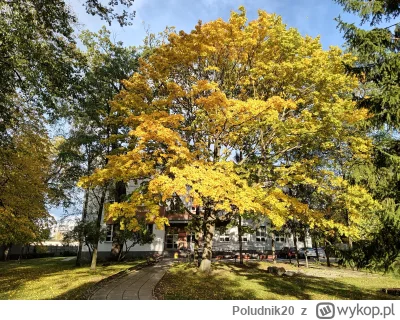 Poludnik20 - @LeoXIV:  też z wczoraj.