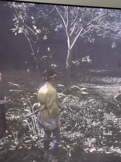 jazdaniebieski2023 - Mircy z #ps5 #playstation #ghostoftsushima Dlaczego mam takie wy...