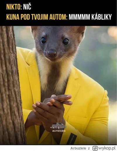 Arbuzlele - #heheszki #humorobrazkowy #motoryzacja