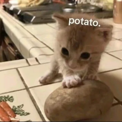 wybryk_natury - #zlodziejskiewybryki