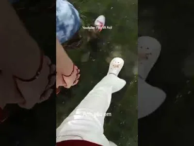 oesucotusieodwala - @oesucotusieodwala: zapomnialo sie o linku https://youtube.com/sh...