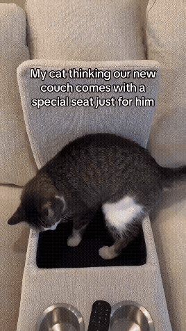 jestemtakizmeczony - @jestemtakizmeczony: