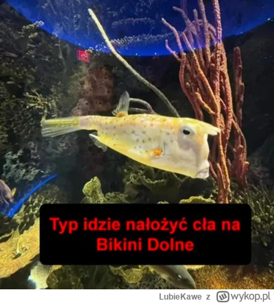 LubieKawe - Nawet smiechłem. #heheszki