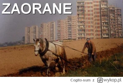 Cogito-sum - @bregath: