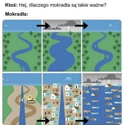 TiniMini_pl - #powodz