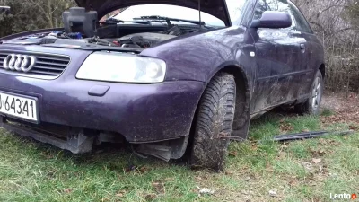 urban24 - @jmuhha: mmm ałdi