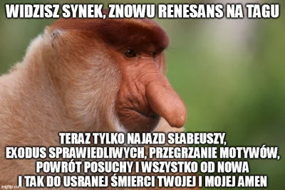 HrabiaTruposz - #konkursnanajbardziejgownianymemznosaczem