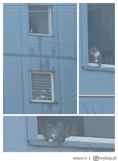 witam12 - Przejeżdżałem dzisiaj przez legnicką, ściana zewnętrzna dalej usyfiona ale ...