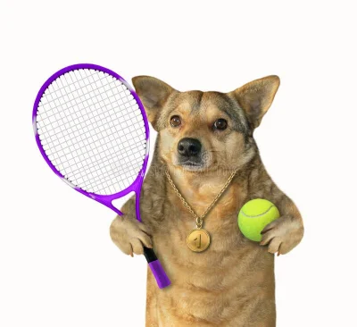 PanCylinder - Równie dobrze mogłaby grać z psem
#tenis