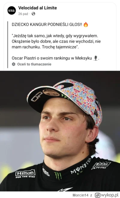 Morcin14 - Dziecko kangur, co teraz?
#f1