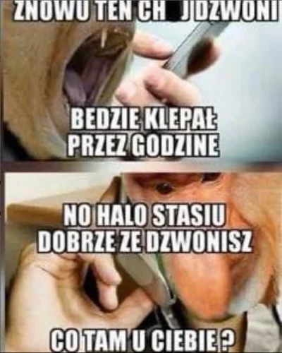 Vegasik69 - #konkursnanajbardziejgownianymemznosaczem #nosaczsundajski #janusznosacz